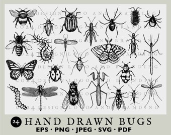 Insect Illustrations, Bugs, Vintage Style Insect Drawings, Entomology, Insect Art, Hand Drawn (eps, svg, jpeg, pdf, png files)