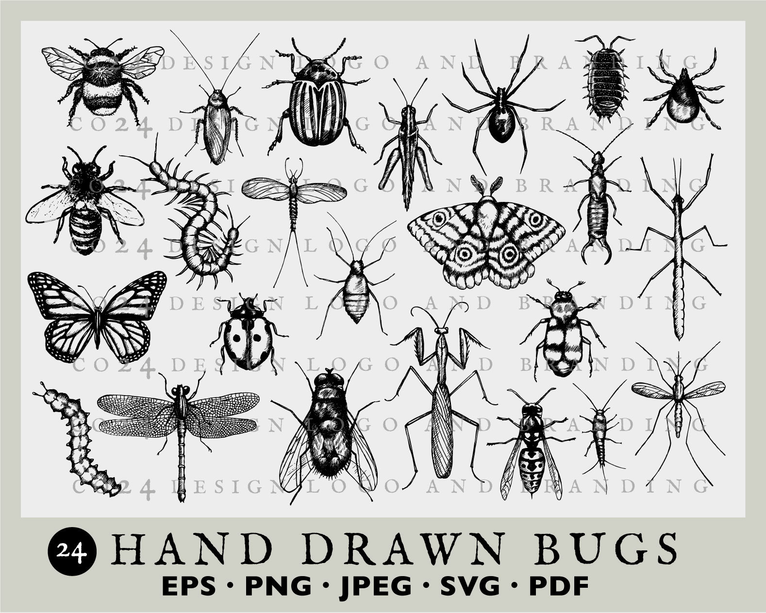 Insect Illustrations Bugs Vintage Style Insect Drawings Etsy UK