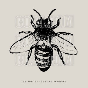 Honeybee Illustration, Vintage Style Hand Drawn Bee, Honey Bee drawing, Zoological illustration, Insect Art (eps, svg, jpeg, pdf, png files)
