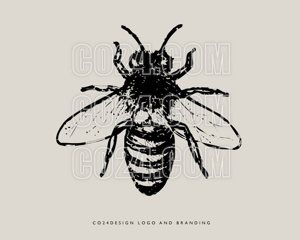 Vintage Honeybee Illustration, Hand Drawn Insect Art (digital