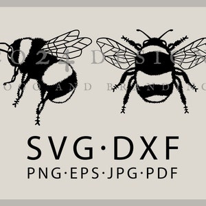 Bumblebee SVG, Bee DXF, BumbleBee Cut File, Insect art, Bumblebee drawing, Zoological drawing, Bee SVG (eps, svg, dxf, jpeg, pdf, png files)