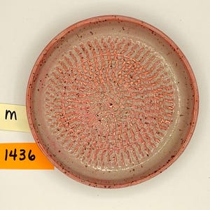 May include: A round, ceramic garlic grater with a textured, coral-colored grating surface. The rim is a darker pink with speckled details. The grater is a kitchen tool for preparing garlic and other ingredients.