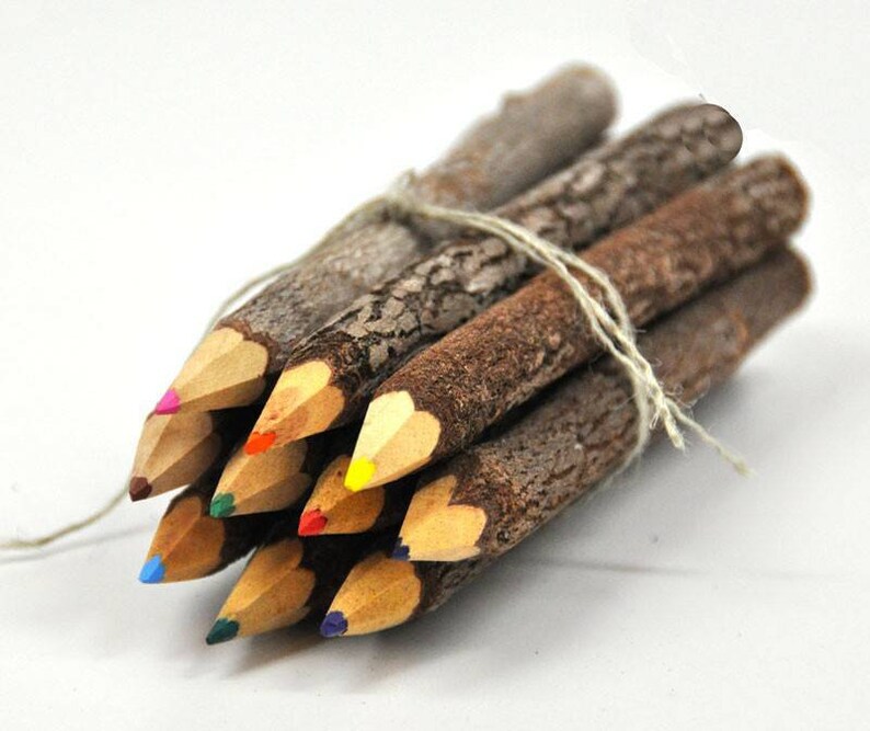 Bundle of 10 Hand Carved Coloured Twig Pencils Unique Handmade