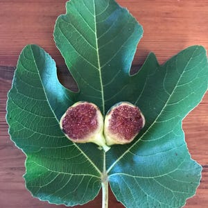 May include: A green fig leaf with two halved figs, revealing their red interior. The leaf's veins are visible, and the figs are positioned at the top of the leaf's stem. The background is a wooden surface.