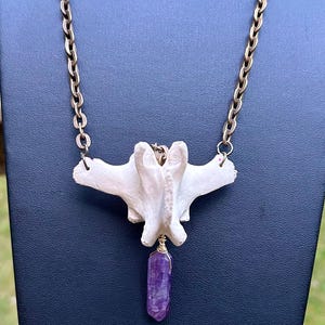 Deer Vertebrae Necklace: Amethyst Point, Vintage Brass Chain