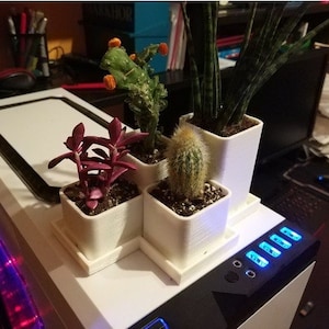 Puede incluir: Una caja de ordenador blanca con un concentrador USB integrado y cuatro pequeñas macetas blancas con diferentes suculentas y plantas. Las plantas están en diferentes etapas de crecimiento y tienen diferentes colores y texturas.