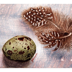 Original Watercolor Painting/Quail Egg/Quail Feather/5” x 7”/Spring - Easter Decor