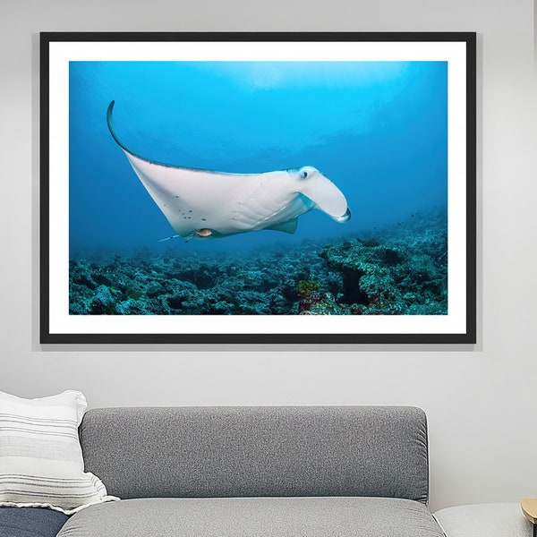 Manta Ray, Manta Ray Print, Animal Print, Wildlife Print, Art Print, Poster Print, Wall Art