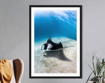 Manta Ray Print, Animal Print, Wildlife Print, Art Print, Poster Print, Wall Art