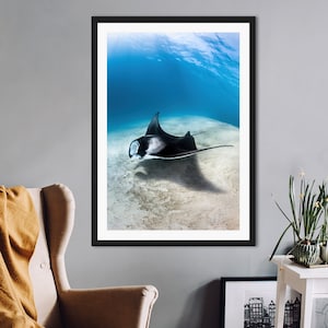 May include: A black and white manta ray swims in clear blue water over a sandy ocean floor. The manta ray is facing the left side of the image and its shadow is visible on the ocean floor.