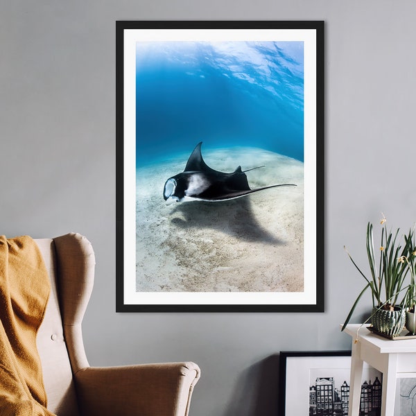 Manta Ray Print, Animal Print, Wildlife Print, Art Print, Poster Print, Wall Art