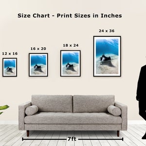 May include: Size chart showing different print sizes for a photograph of a manta ray swimming in the ocean. The sizes are 12x16 inches, 16x20 inches, 18x24 inches, and 24x36 inches.