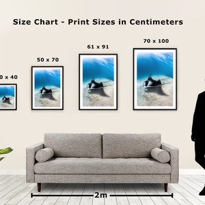 May include: Size chart for prints in centimetres, showing four different sizes: 30 x 40 cm, 50 x 70 cm, 61 x 91 cm, and 70 x 100 cm. Each size is represented by a framed image of a manta ray swimming underwater.