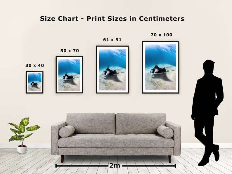 May include: Size chart for prints in centimetres, showing four different sizes: 30 x 40 cm, 50 x 70 cm, 61 x 91 cm, and 70 x 100 cm. Each size is represented by a framed image of a manta ray swimming underwater.