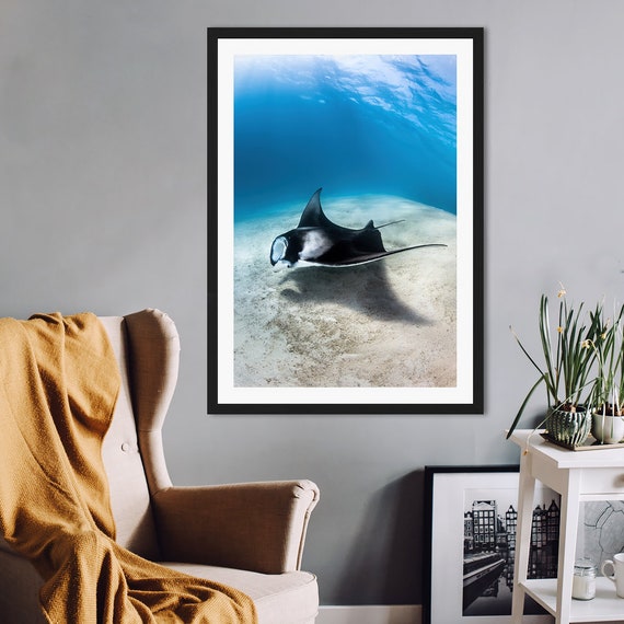 Manta Ray Print, Animal Print, Wildlife Print, Art Print, Poster Print, Wall Art