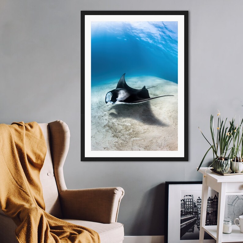 May include: A black and white manta ray swims in clear blue water over a sandy ocean floor. The manta ray is facing the left side of the image and its shadow is visible on the ocean floor.