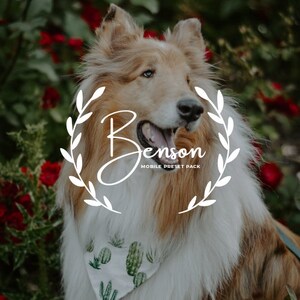 Bensons Set of 5 Mobile Lightroom Presets