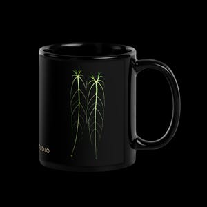 May include: Black ceramic mug with a white outline of the word "STUDIO" and a green graphic of two leaves on the front.