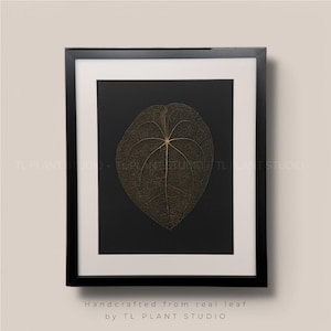 Anthurium forgetii Leaf Skeleton &#39;T41&#39; 16x20&quot; | Pls read description | Rare Plant Gallery Wall Art Home Decor Plant Lover Botanical Art