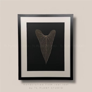 Anthurium nigrolaminum x besseae aff Leaf Skeleton &#39;T35&#39; 16x20&quot; | Pls read description | Rare Plant Wall Art Home Decor Plant Lover Gift