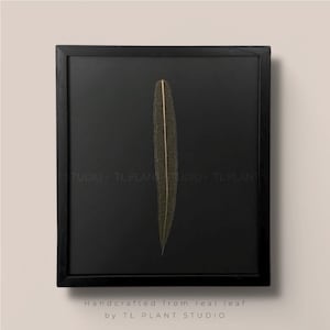 Anthurium lutheri Leaf Skeleton &#39;T23&#39; 15x18&quot; | Pls read description | Rare Plant Gallery Wall Art Home Decor Plant Lover Gift Botanical Art