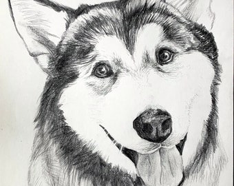 Custom Pet Portrait / Pencil Drawing