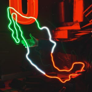 Custom Mexiko Karte Umriss LED Neon Schild | Home Decor Light - Personalisierte Größe und Farben