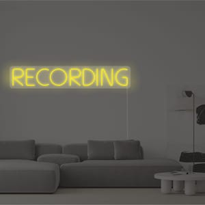 Customizable LED Neon Sign for Recording and Streaming Room Decor - Choose size and colors, Control your brightness