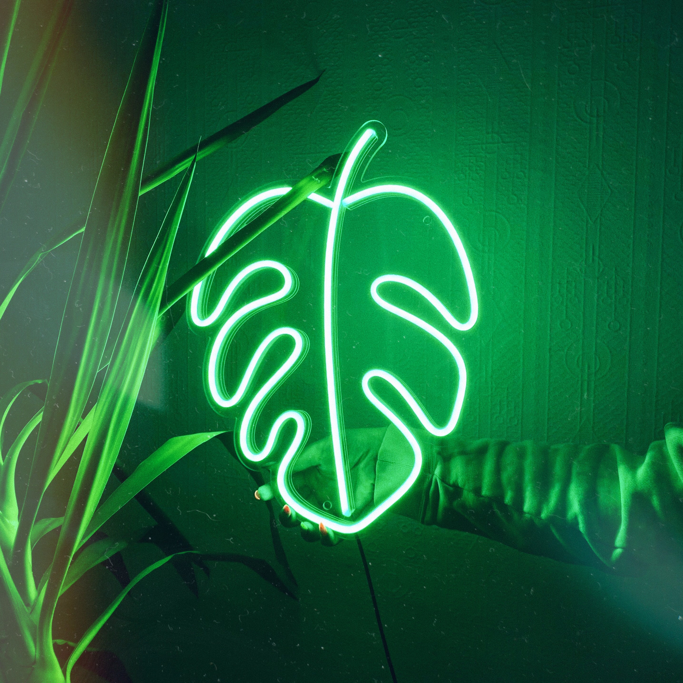 Monstera Leaf LED Neon Sign Plant Wall Decor Choose your Etsy