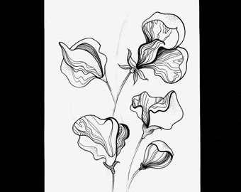 Floral Illustration - A4 Original Artwork Pen Drawing