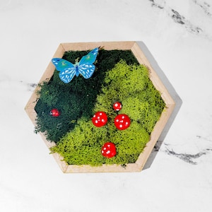 Moss Wall Art Kit | DIY Kit | Home Decor | Hobby and Craft Gifts | Make Your Preserved Moss Art