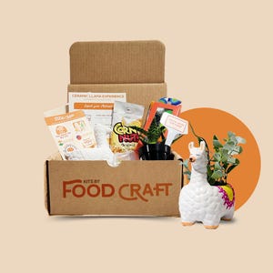 Ceramic Llama Kit | DIY Kit | Ready to Paint | Hobby and Craft Gifts | Paint Your Ceramic