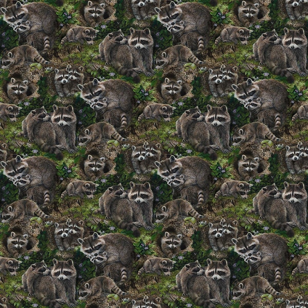 NEW! Little Rascals by Karla Mann for Northcott Fabrics - Sold by 1/2 Yards - Raccoon All over