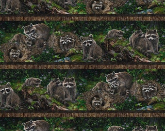 NEW! Little Rascals by Karla Mann for Northcott Fabrics - Sold by 1/2 Yards - Lengthwise Raccoon Stripe