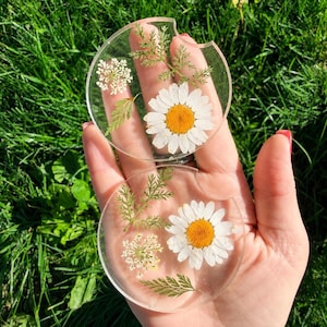 May include: Two clear, round coasters with a daisy and other dried flowers encased in resin. The coasters have a small notch for easy removal from a surface. The background is a vibrant green lawn.