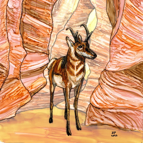 High quality print on archival paper or metal, of a Pronghorn in Antelope Canyon