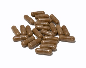 Organic Reishi and Chaga Mushroom Capsules (90 count)
