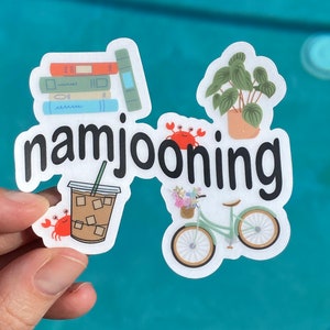 Adesivo Namjooning, Índigo, Flor selvagem, Mono, Curiosidades sobre amor, Joonie, rm, Namjoon