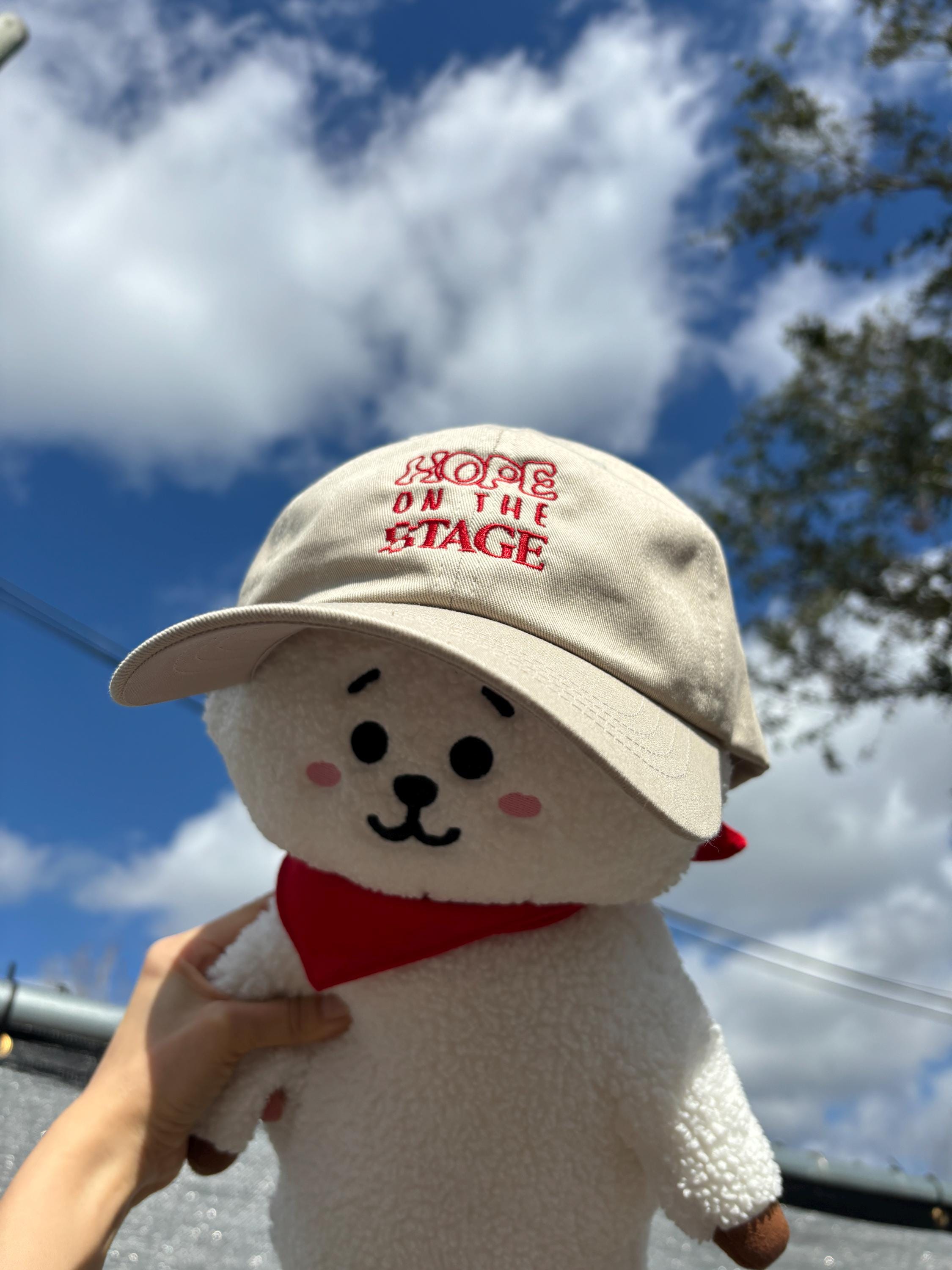 Hope on the Stage Dad Hat, Hobi Core Embroidered Cap, Hoseok