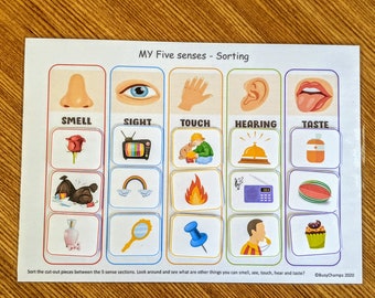 Five Senses Worksheet, Busy Book Printable, Preschool Learning Binder, Activity Worksheets, Homeschool Learning, Montessori activity