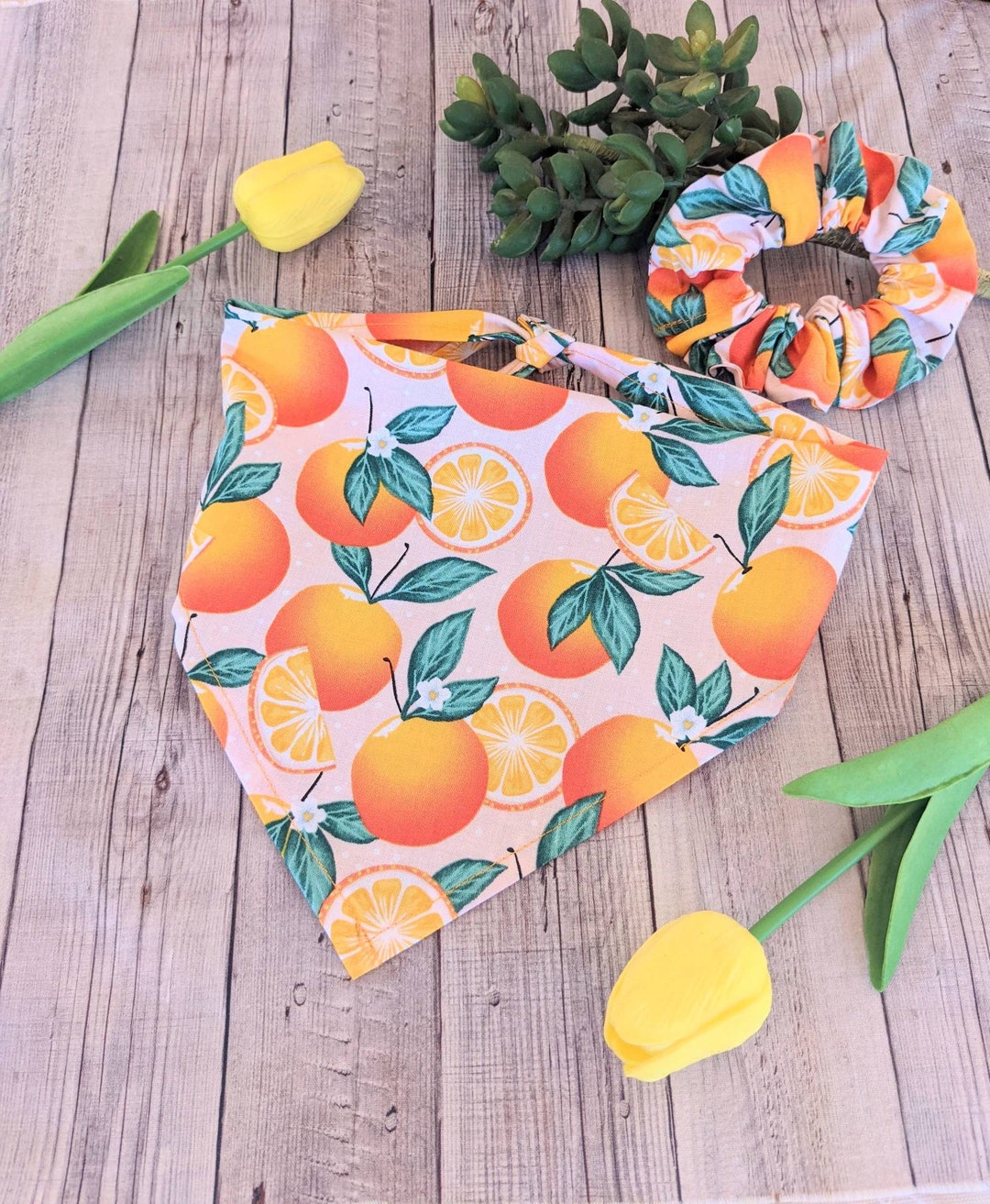 PERSONALIZED SUMMER Dog Bandana Oranges Dog Bandana Dog Etsy UK