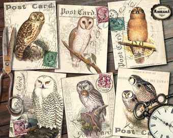 Owl postcards,  for scrapbooking, card making, journaling , owl prints, cards for junk journal, shabby collage instant digital download
