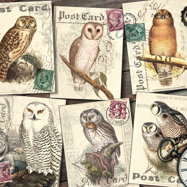 Owl postcards,  for scrapbooking, card making, journaling , owl prints, cards for junk journal, shabby collage instant digital download
