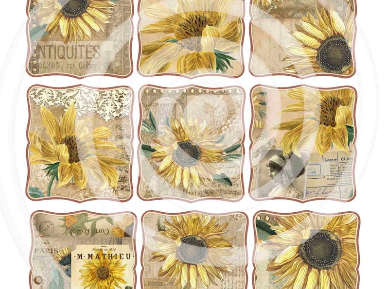 Antique Sunflowers Sunflowers Labels Vintage Labels - Etsy