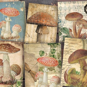 Mushrooms junk journal cards, vintage mushrooms scrapbooking cards, digital download