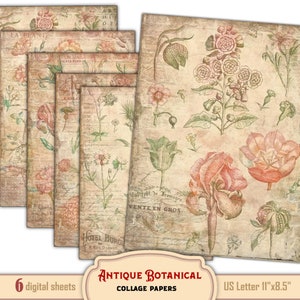 Illustrated Floral Botanical Papers -Grunge distressed plant wildflower illustrations for Junk Journaling and Scrapbooking, digital download