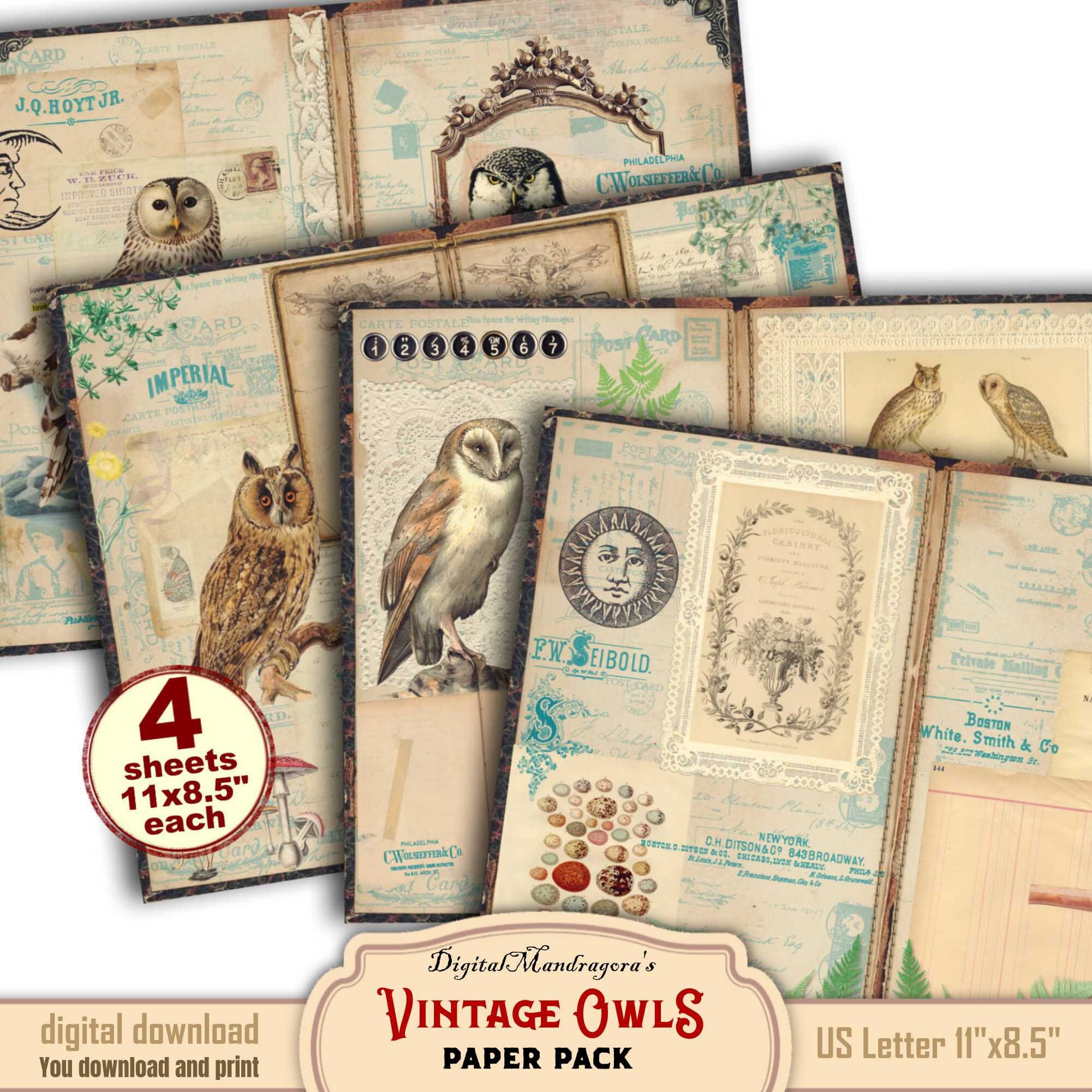 Vintage Owls Ephemera: Junk Journal Paper (Digital Download)