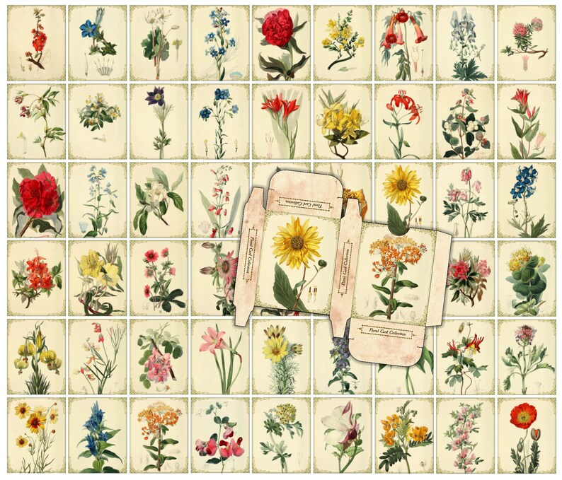 Puede incluir: Un conjunto de 36 ilustraciones bot&aacute;nicas vintage con diversas flores y plantas. Cada ilustraci&oacute;n est&aacute; enmarcada con un borde decorativo e incluye el texto "Plant Card Collection".