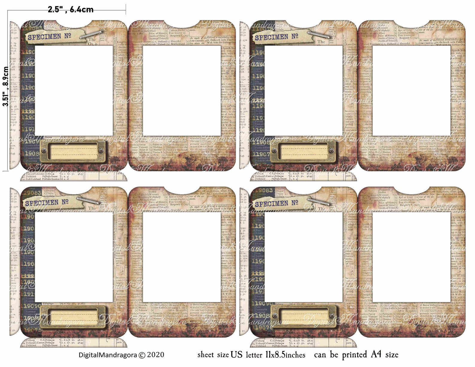Bugs Specimen Slides With Frames, Vintage Bugs Cards for Journaling