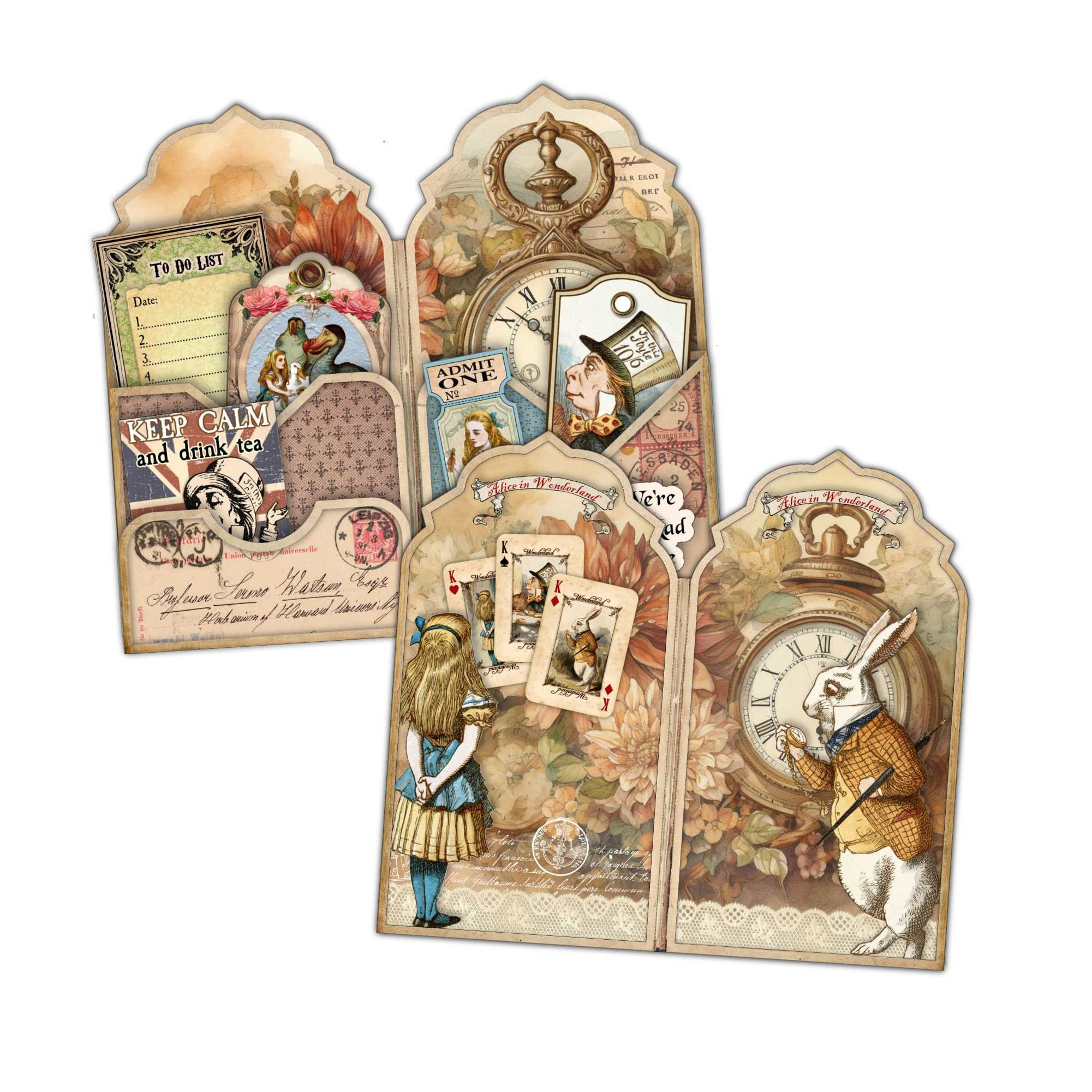 写真集　 ALICE in Wonderland Alice's Adventures in Wonderland: The only edition with all